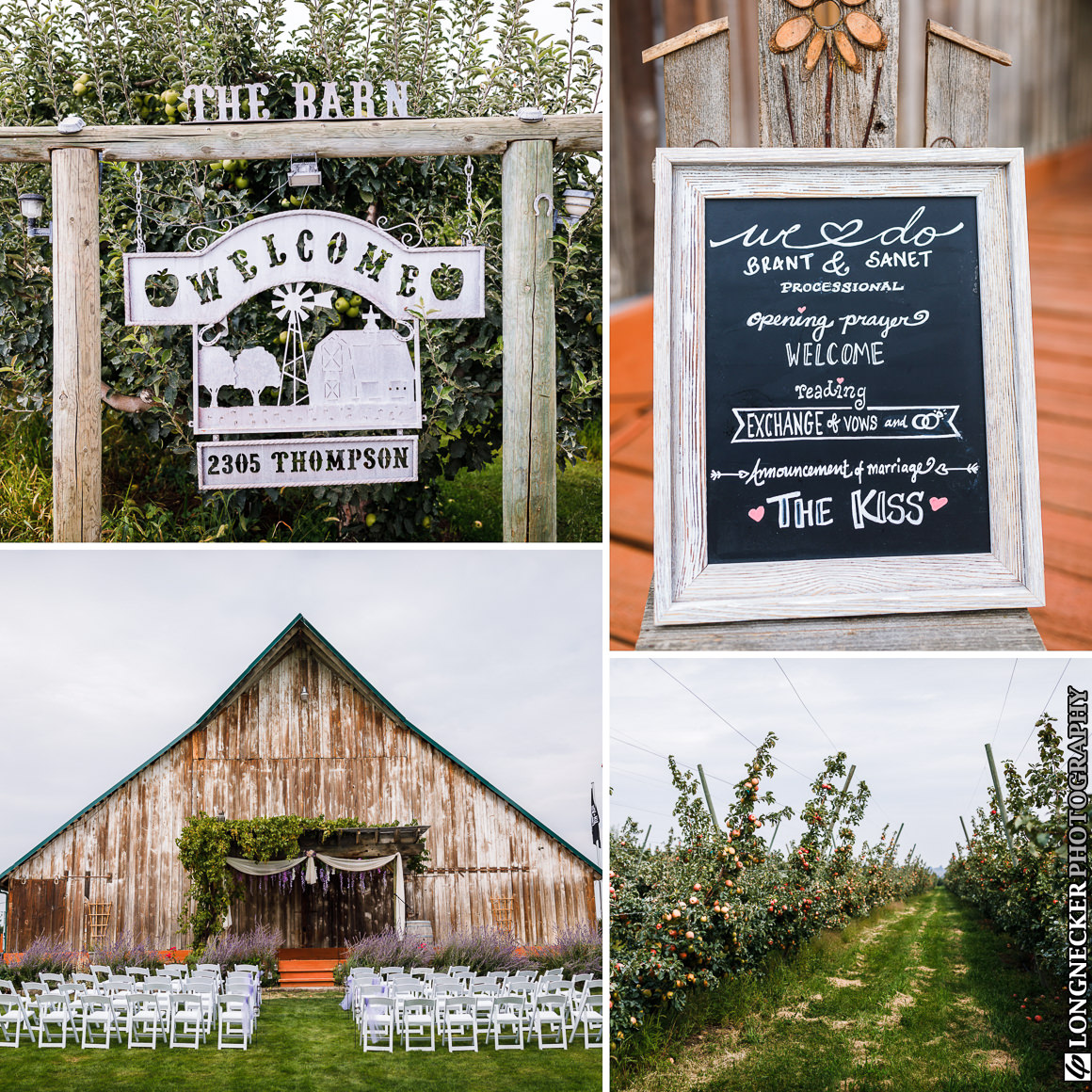 Apple orchard wedding